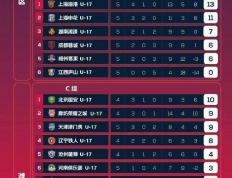 开云官网-上海申花成功晋级下一轮比赛