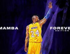 开云下载-逆转剧本，独行侠季后赛爆冷胜火箭的背后玄机