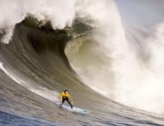 开云体育登录-镜像对决，佩德里的影子如何穿越到曼城与多特之战？