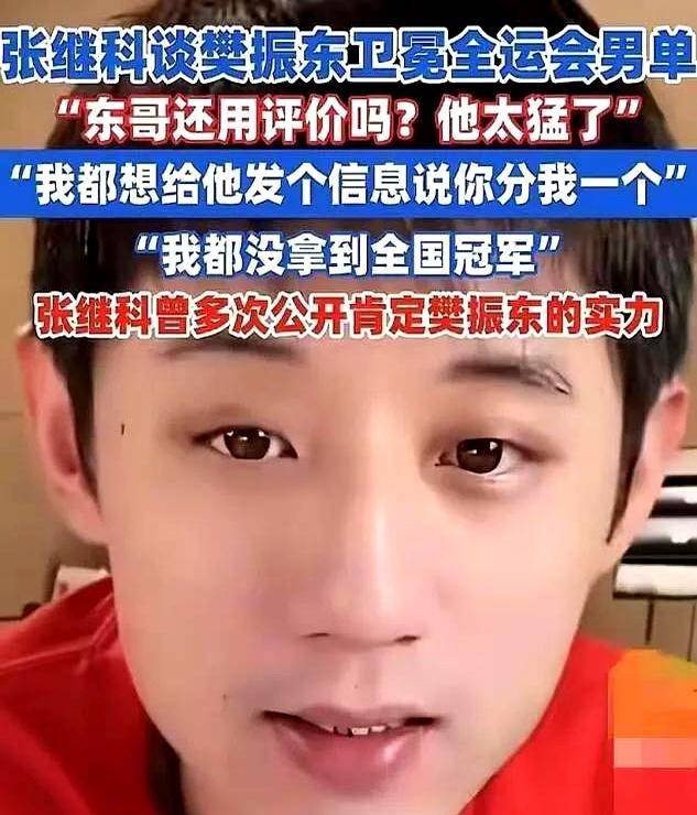 开云体育官方网站-德国队横扫葡萄牙队，张继科扛起全队